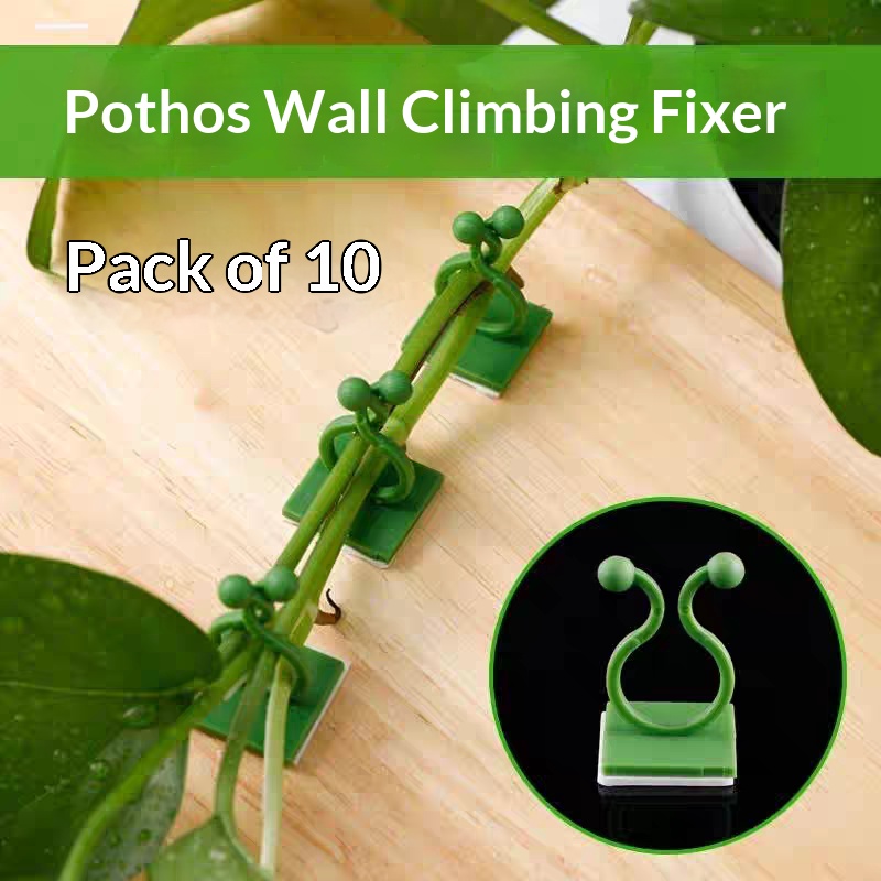 Vine Climbing Plastic - 自己粘着式植物クライミングウォール固定クリップ、つる性植物固定フック、穴あけ不要の植物オーガナイザー、家庭用庭園室内装飾用