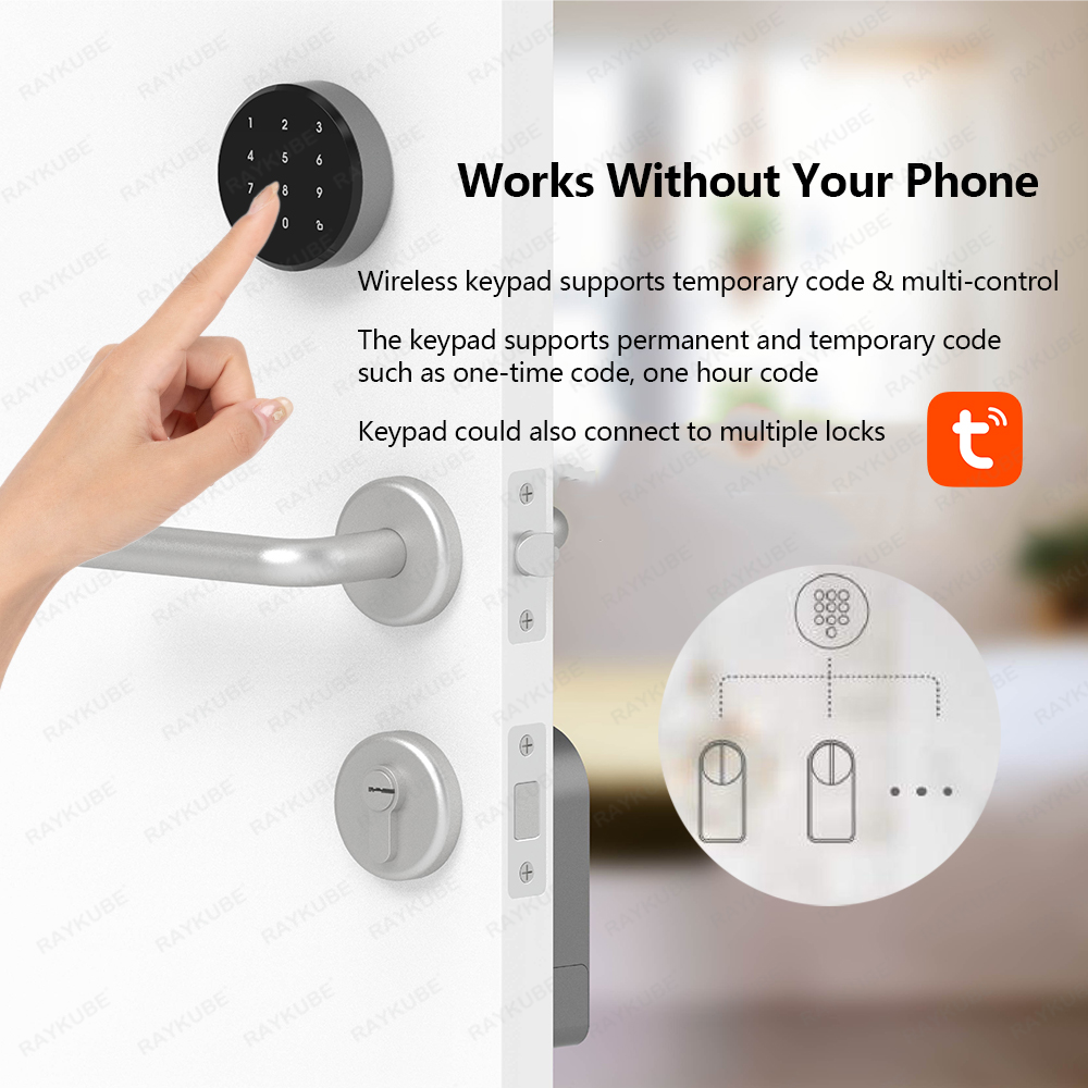 RAYKUBE A1 Pro Tuya BEL スマート電子 - Glass Door Hinge のレビューと価格