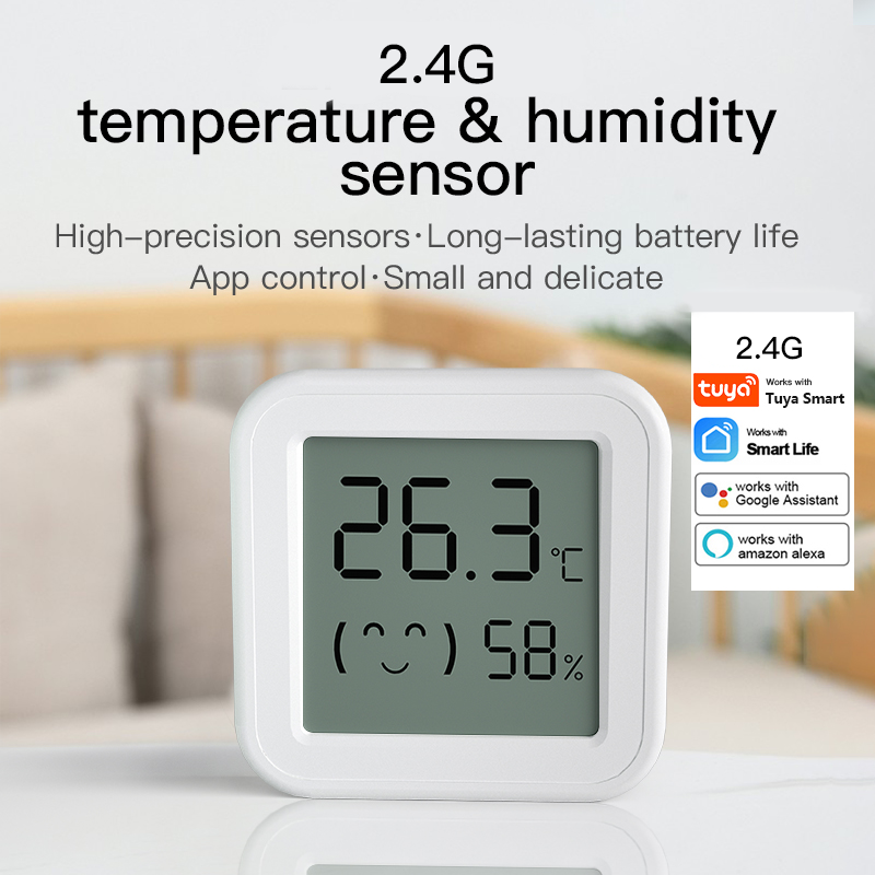 Bluetooth 温度湿度センサーミニ LCD スクリーン - Digital Hygrometer Probe のレビューと価格