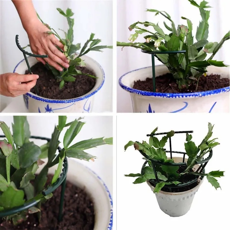 1-9セット プラスチック製植物支柱 パイルフレーム 温室整 - Vine Climbing Plastic のレビューと価格