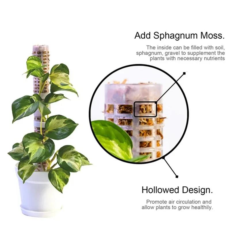 植物クライミングフレーム植物トレリス支持棒プラスチックモスポ - Vine Climbing Plastic のレビューと価格