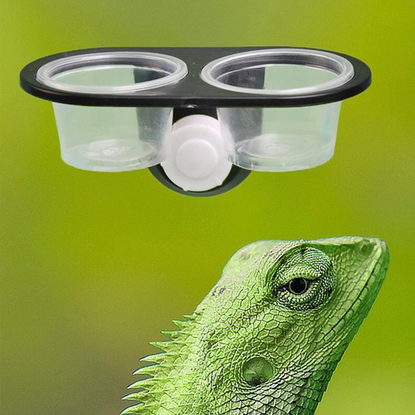 ヤモリ用フードディッシュ ヤモリ用給餌カップ ディスペンサー - Water Dish Reptile のレビューと価格