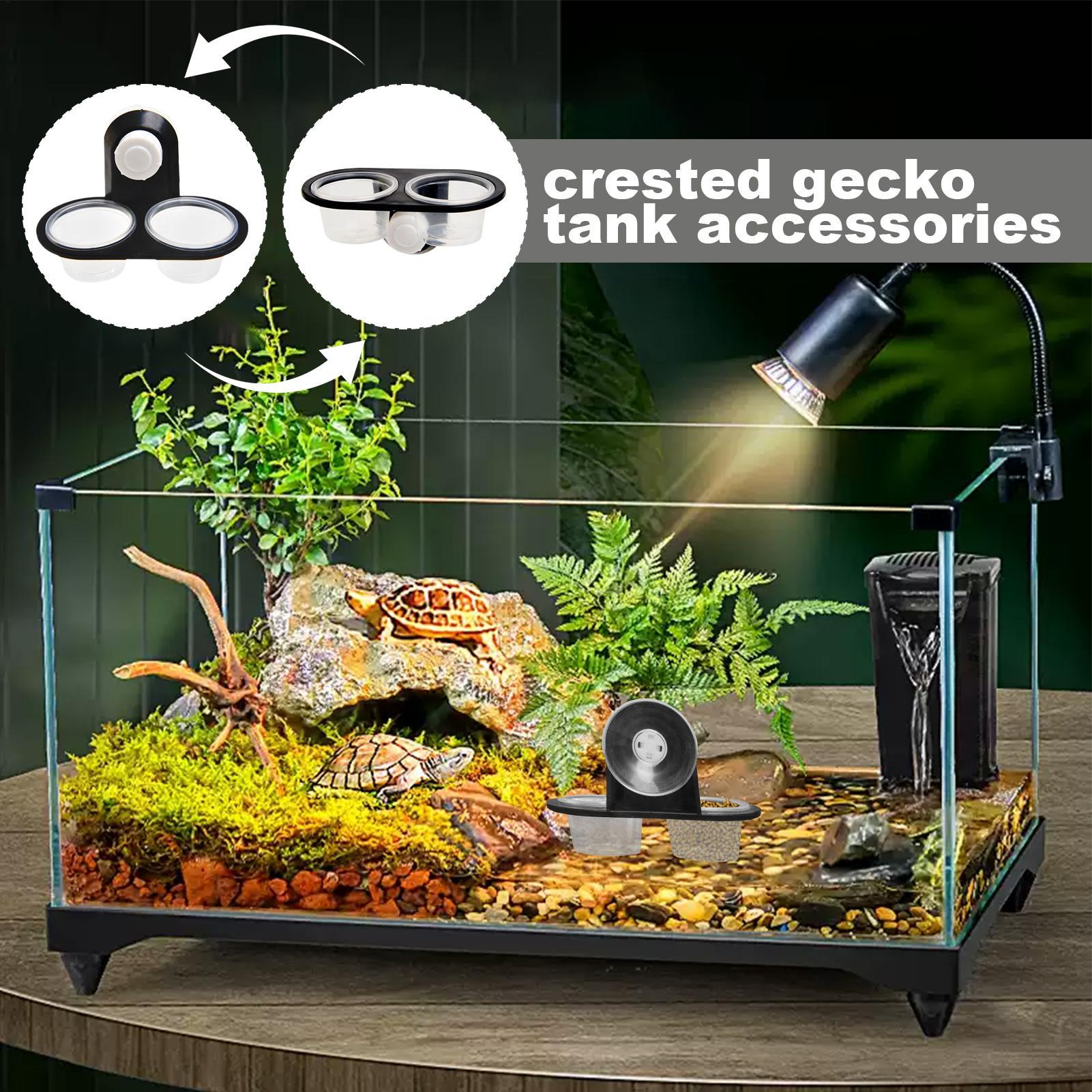 ゲッコーフィーダーレッジ、取り外し可能な吸盤付き、爬虫類用給 - Water Dish Reptile のレビューと価格