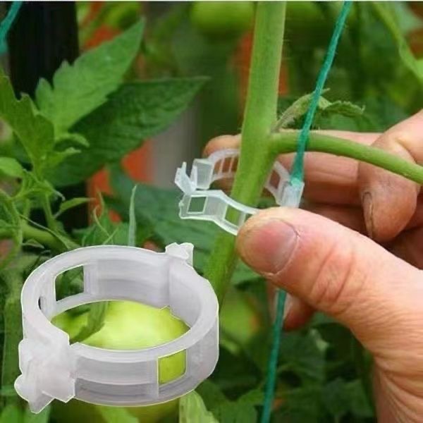 500個入り プラスチック製植物サポートクリップ ガーデン用 - Vine Climbing Plastic のレビューと価格