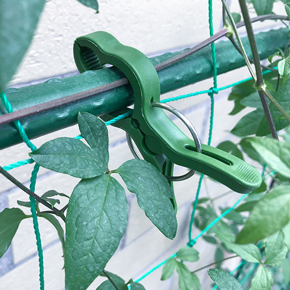 60個入りガーデン植物クリップ プラスチック製植物サポートク - Vine Climbing Plastic のレビューと価格