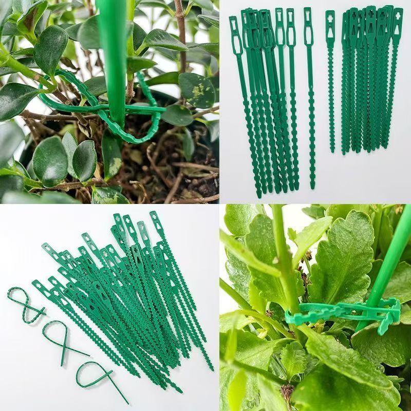 緑色の再利用可能な植物用タイ、調整可能なプラスチック製ガーデ - Vine Climbing Plastic のレビューと価格